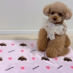 モニター価格♪  うちの子  ブランケット