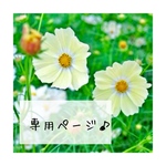 N様 専用ページ♪