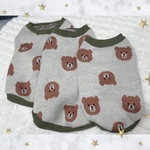 犬服🧸厚手くまちゃんセーター　フレブル服　緑　ニット　あたたかい
