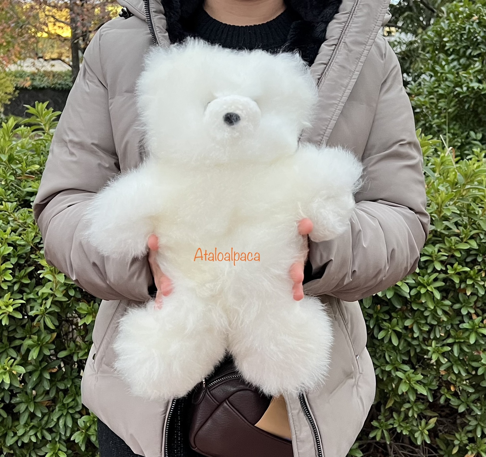 アルパカテディベア ベビーアルパカ100% L size 大型アルパカテディベア | Alpaka