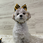 犬の　鬼さんのリボンネクタイ🎀👹