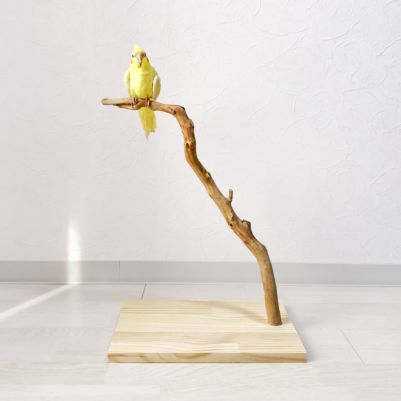 流木止まり木】ど迫力の大型止まり木 ヨウム、オウム、フクロウ、大型