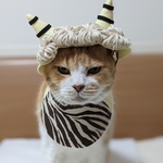ホワイトゴールドオニコスプレ