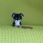 チワワ ブラックタン&ホワイト パピー羊毛フェルト