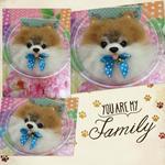 nanamisa様専用オーダー 犬 わんこ羊毛フェルトストラップ