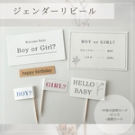 ジェンダーリビール　ピック&カード