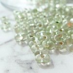 期間限定SALE【10㌘/3㍉×6㍉】【bg-fp-86】❁ファルファーレ/ピーナッツビーズ❁スモーキーカラーシルバーインサイド❁リーフシルバーライン❁