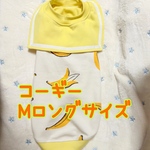 コーギーＭロングサイズ☆