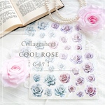 【C-67】Cool Rose