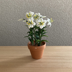 鉄砲百合　花鉢　1