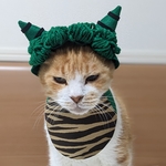 グリーンオニコスプレ