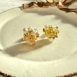 リナリアのシャワーピアス~asymmetry~