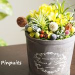 ミニグリーンイングリッシュガーデン