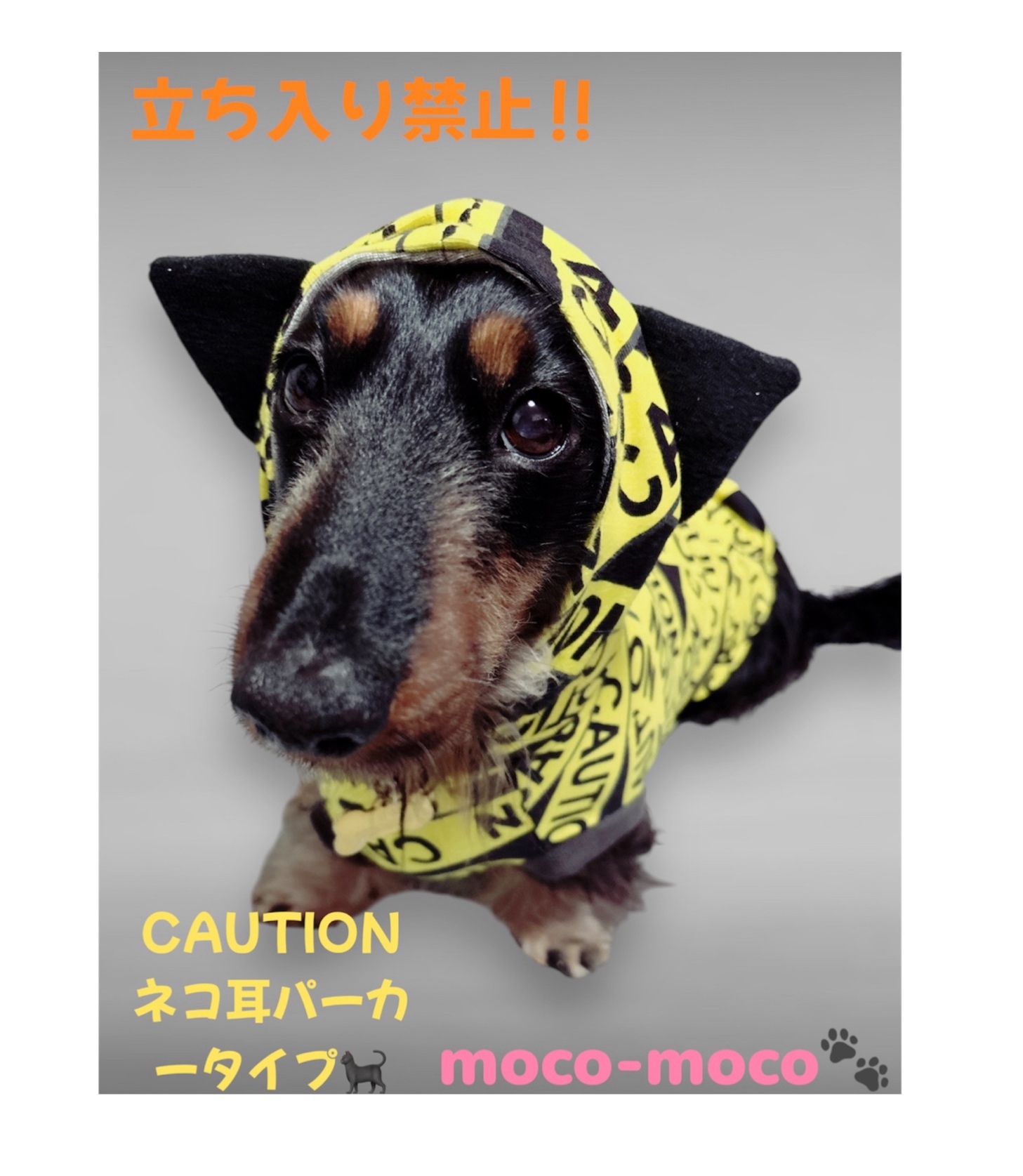 犬服2号ロング、ハンドメイド春夏ピンク鹿子ニット＆ボタニカル柄 犬服