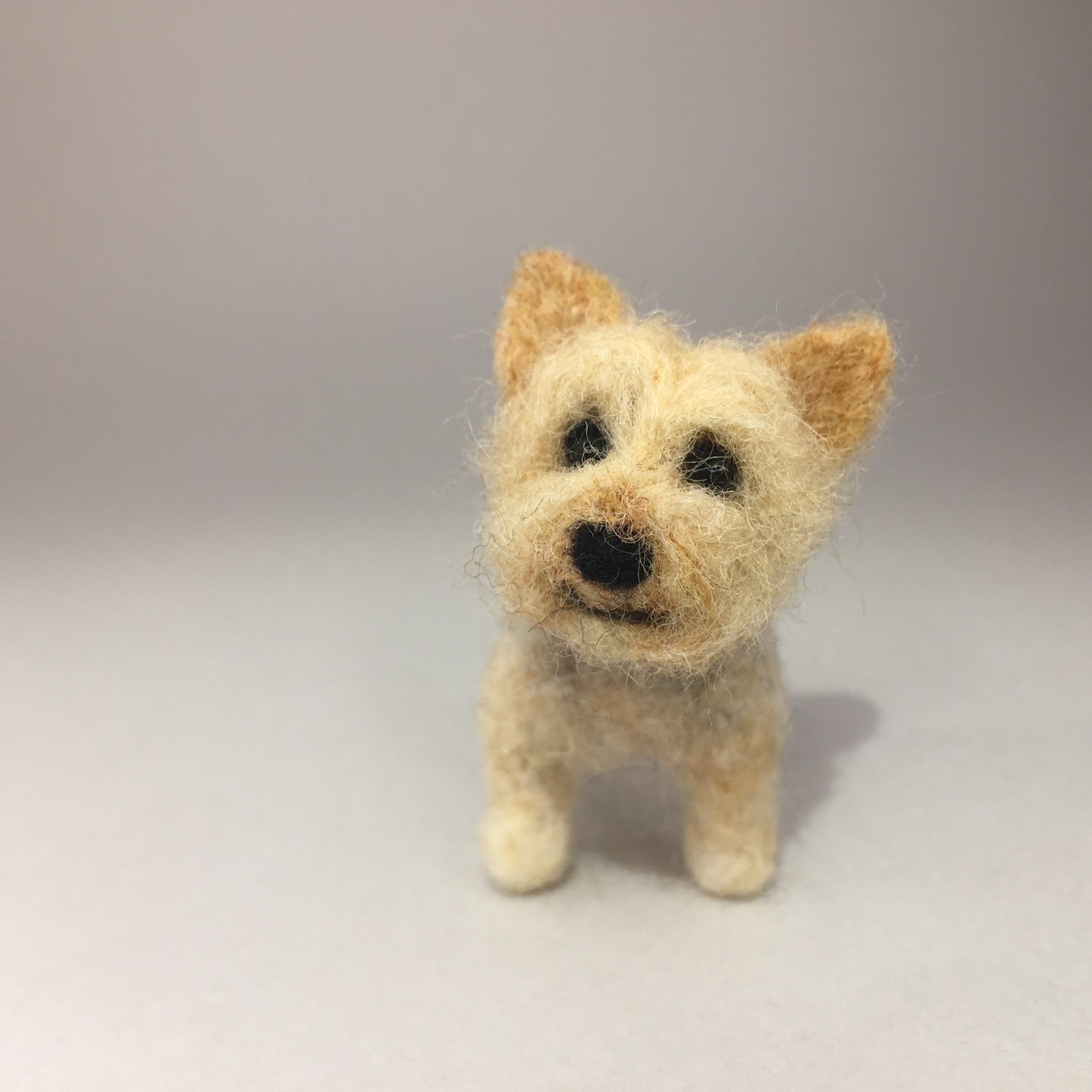 アートドール ヨークシャテリア 【公式通販】