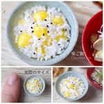 【ミニチュアフード】栗ご飯★受注生産品★