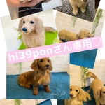 hi39ponさん専用♡
