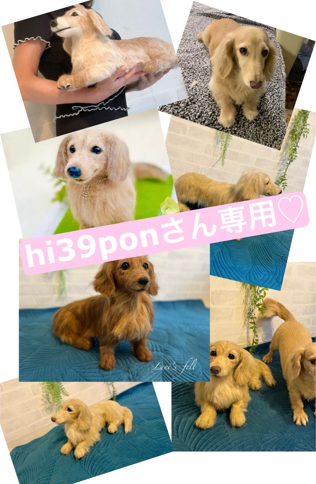 える様　オーダー専用　羊毛フェルト　犬　ミニチュアダックス　パピヨン　ミックス 羊毛フェルトキット ミニチュアダックスフンド | 羊毛フェルト