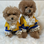 犬猫うさちゃん服　ビースト風タキシード