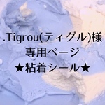 𓈒𓂂 𓈒𓍼Tigrou(ティグル)様専用ページ 𓂃 𓈒𓏸◌‬