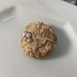 やわらかなロサキネンシス