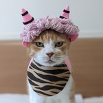 ミルキーピンクオニコスプレ