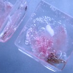 【桜氷】- ジェルキャンドル -