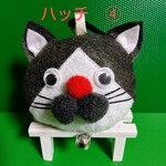 こんにちは！ハチワレ🍄ハッチです🍄