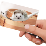 ICカードステッカー ハリネズミ