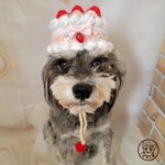 ~もも様ご予約用~ 🎂誕生日ケーキ帽子🎂