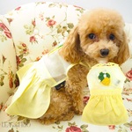 再販☺ 帽子 ぼうし 制帽 パイロットハット なりきり帽子 キャプテンハット 船長 極小犬 パピー 超小型犬 小型犬 犬 猫 ペット 服 犬服 猫服 洋服 犬の服 猫の服 HAT84 HAT85