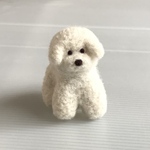 ビションフリーゼ