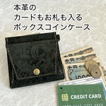 カードもお札も入るボックスコインケースペイズリー柄グリーン本革お財布