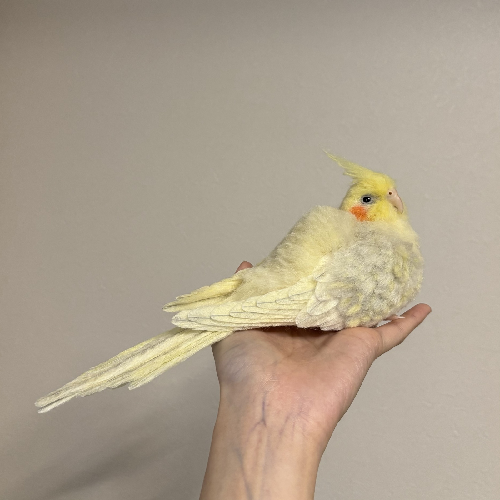 羊毛フェルト。オカメインコ。オーダーNo.18
