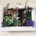 フレーム飾り キジトラ猫 羊毛フェルト 〈壁掛け&置き型2way 〉 