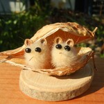 かわいい赤ちゃん　み―つけた。