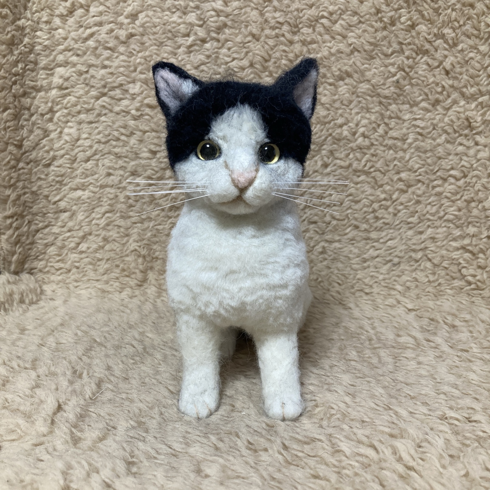 羊毛フェルト シャムトラ シャムトラミックス シャム猫 猫