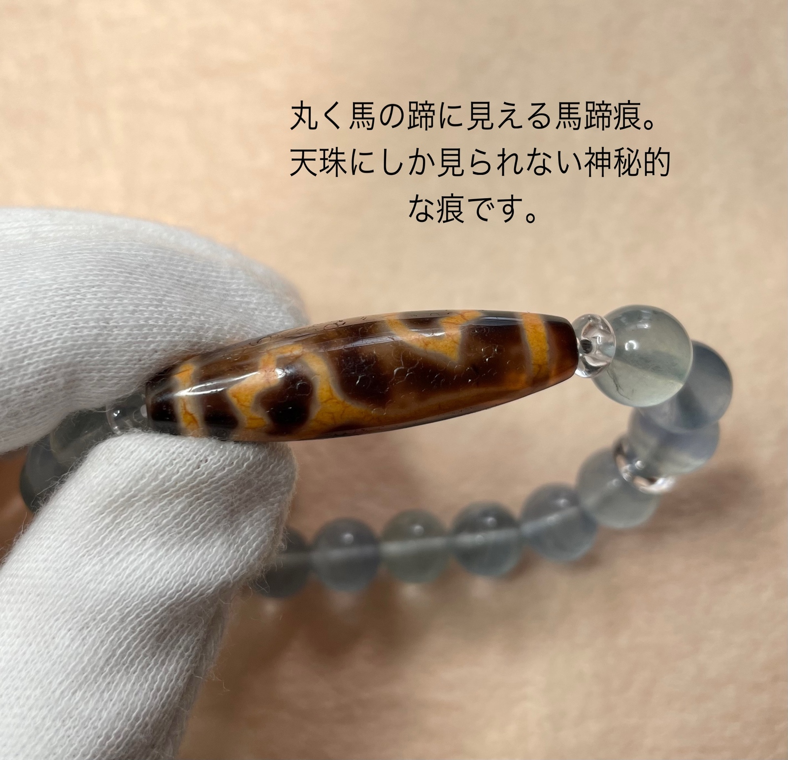 馬蹄痕天珠水蓮花・ブルーフローライト#sh048【流通量極少