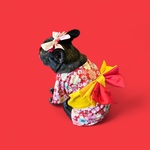 □new□ ひな祭り　楽ちん着物　桜（レッド）　フレブル用