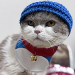 青い帽子と首飾りセット