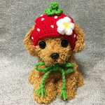 苺の帽子🍓小型犬用帽子・プードル用