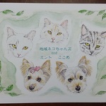 【0817minto様オーダー品】愛犬イラスト