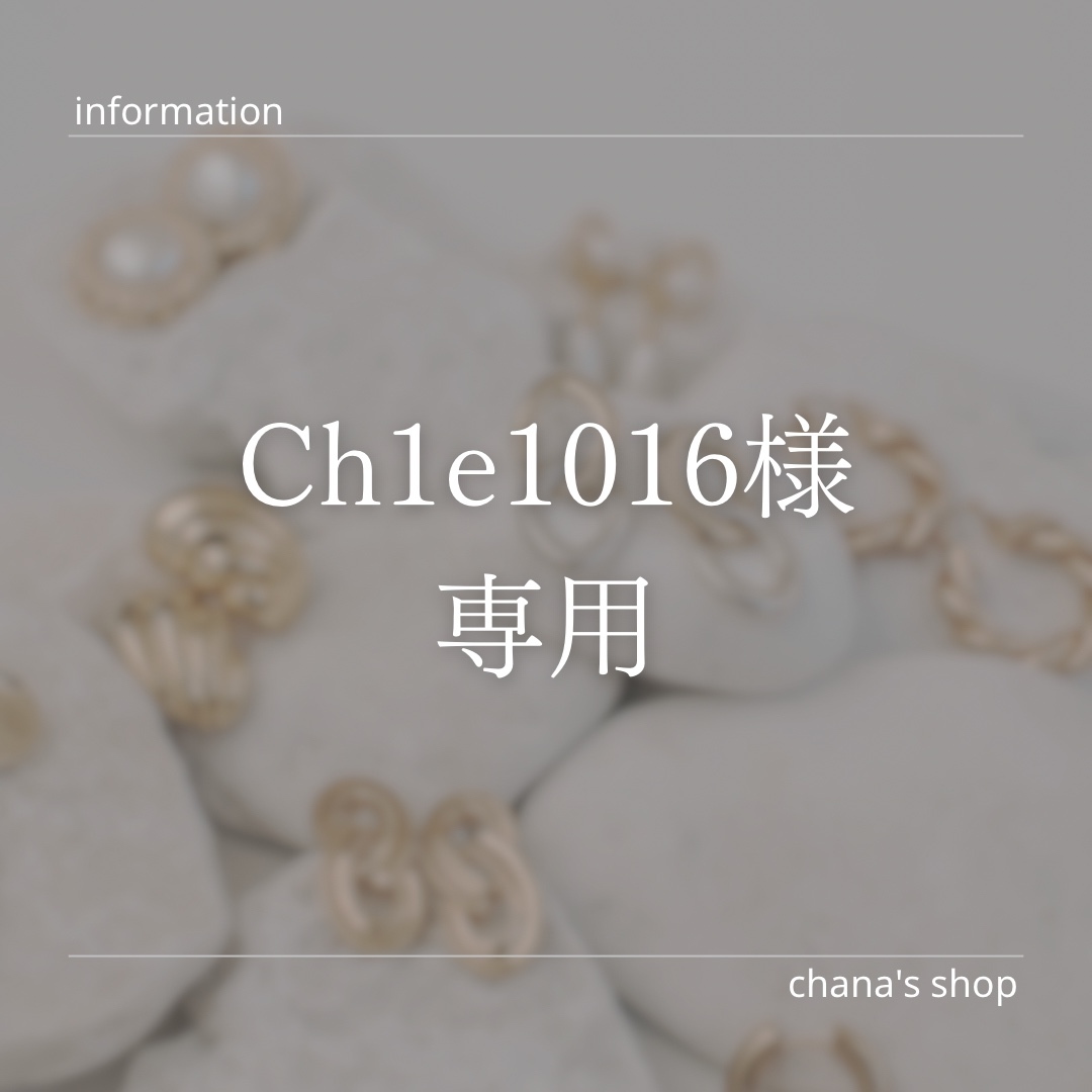専用ページ　耳ツボジュエリー 選べる》耳ツボジュエリー10個セット💎オーダーページ - Chana's