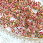 アリッサム　フレーク　☆ピンク☆　赤　ドライフラワー　小花　レジン　花材　