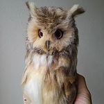 送料込みユーラシアワシミミズク