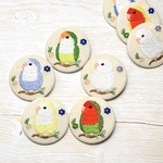 【６.小桜インコ①】　ブローチ　バッチ　愛鳥　小鳥　鳥　雑貨　小物　刺繍　グリーン　ブルー　イエロー　ルチノー　黄色　白　ホワイト　アルビノ　かわいい　ペット　北欧風　北欧風雑貨　母の日　プレゼント