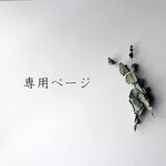 専用ページ