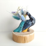 アニマル✕フラワー  〚クジャク〛