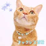 猫の首輪🐈ブルーオーロラビーズ✨ネックレス首輪♡パールのハートチャーム❤
