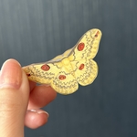手描きのハグルマヤママユのブローチorヘアクリップ　蛾のブローチ